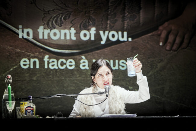 A-Noiva-e-o-Boa-Noite-Cinderela-c-Christophe-Raynaud-de-Lage-5